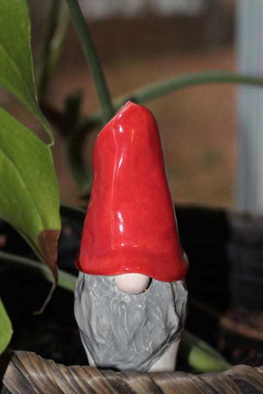 Red Watering Spike