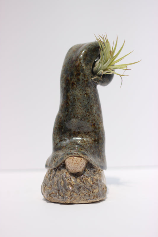 Air Plant Holder Gnome